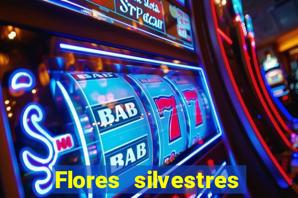 Flores silvestres brasileiras 25